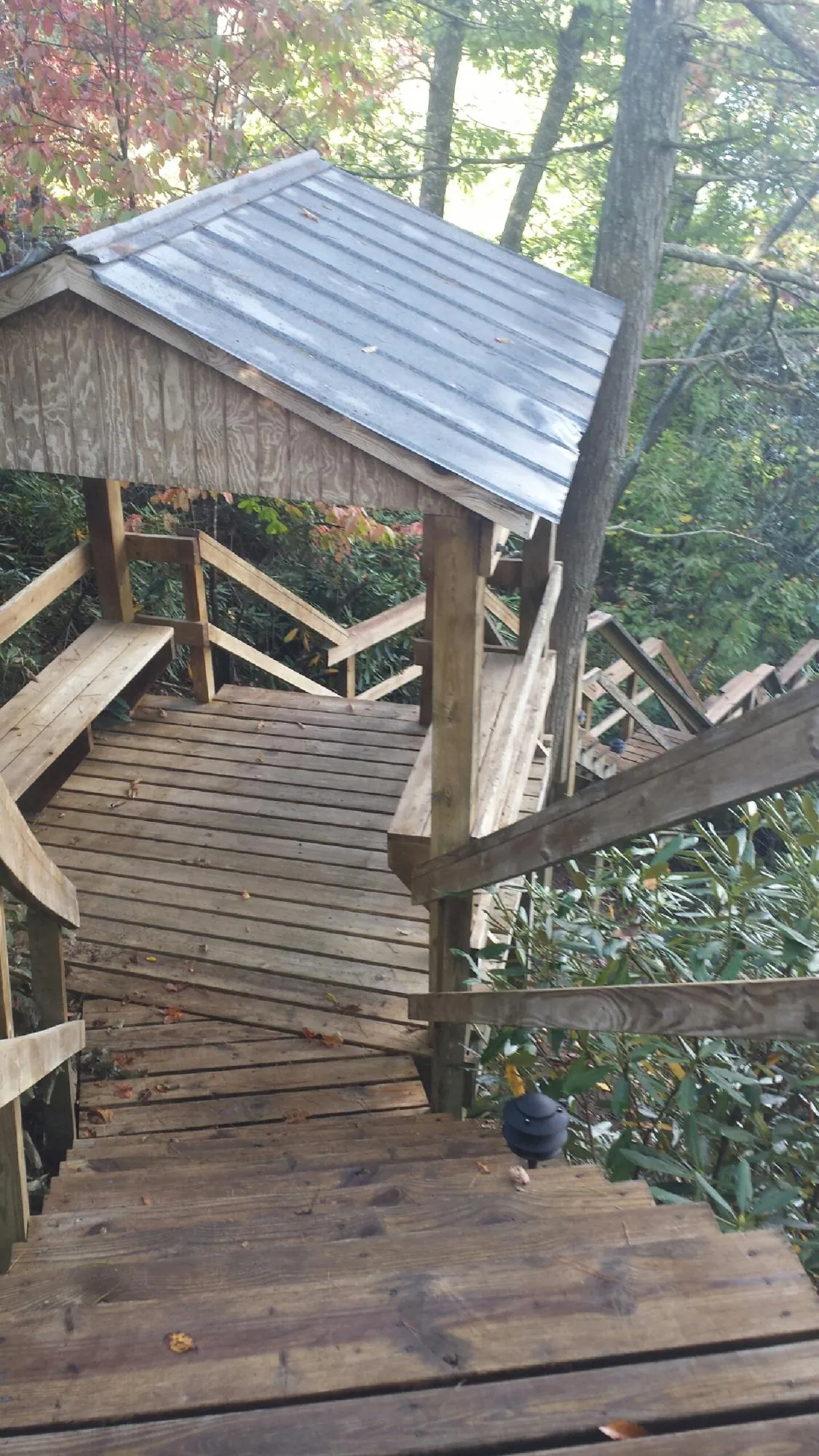 Metal roofed shelter over wooden steps on a wooded walkway — Skylight Repair & Installation work by our crew in Circle Pines